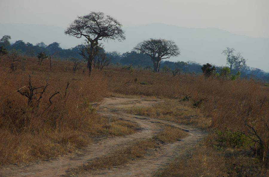 Fremde Landschaft