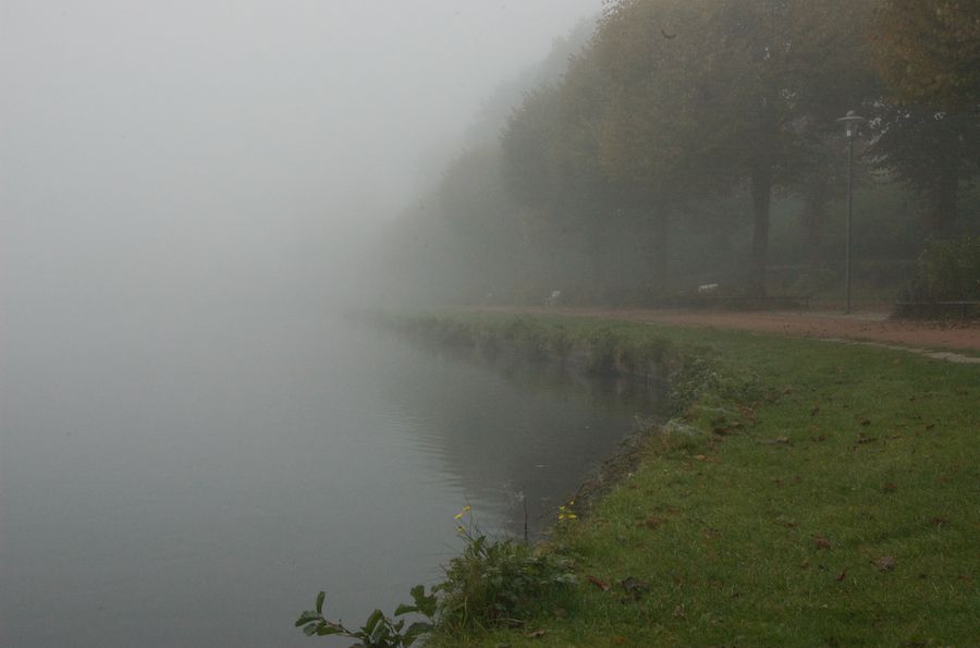 Einsam im Nebel